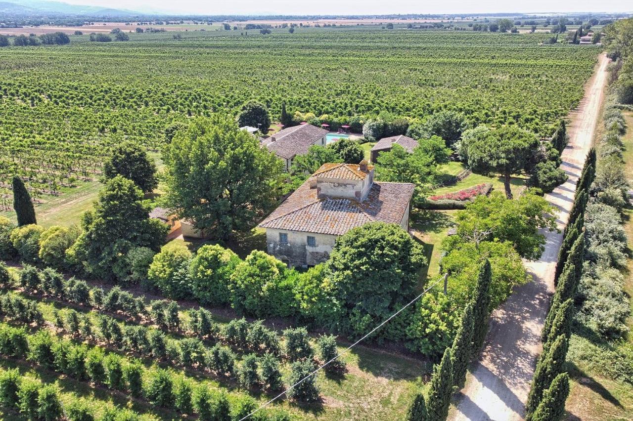 Foresteria Il Giardino Di Fontarronco Alberoro Kültér fotó